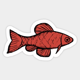 Cherry barb - freshwater aquarium fish Sticker